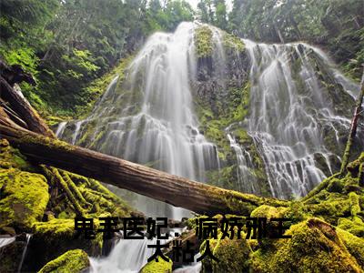 鬼手医妃:病娇邪王太粘人小说(君长渊云苏)全文免费阅读无弹窗大结局_鬼手医妃:病娇邪王太粘人最新章节列表_笔趣阁