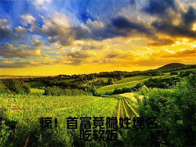 惊!首富竟隐姓埋名吃软饭(林冉傅时煜)全本完整版免费阅读_(惊!首富竟隐姓埋名吃软饭)林冉傅时煜全文章节目录_笔趣阁