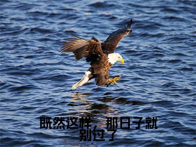 周景琛季棠全文免费阅读-全网首发小说既然这样,那日子就别过了