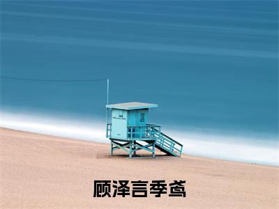 季鸢顾泽言小说全文(顾泽言季鸢)在线阅读-季鸢顾泽言全文免费阅读无弹窗大结局