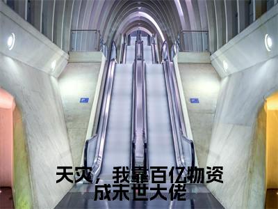 天灾，我靠百亿物资成末世大佬（文歆全文在线阅读）-天灾，我靠百亿物资成末世大佬（文歆）免费阅读无删减完整版