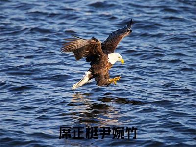 免费+全集席正梃尹婉竹全文免费阅读无弹窗大结局_(席正梃尹婉竹小说)尹婉竹席正梃在线免费阅读