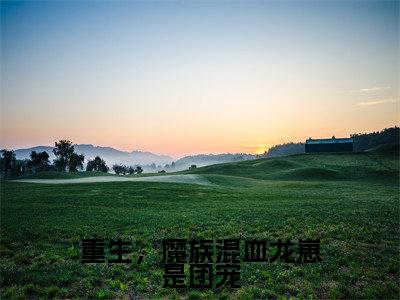 重生，魔族混血龙崽是团宠（墨善安墨噬天）全文免费阅读无弹窗大结局_（重生，魔族混血龙崽是团宠）最新章节列表