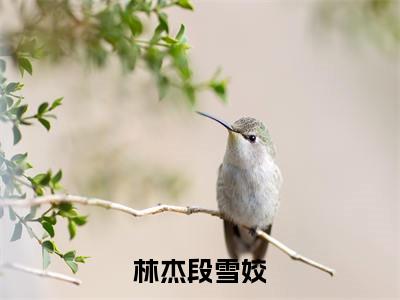 小说林杰段雪姣全文免费阅读段雪姣林杰小说全文在线赏析_笔趣阁