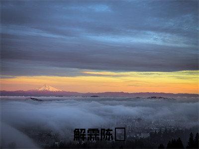 解霖陈沬（陈沬解霖）全文免费阅读无弹窗大结局_解霖陈沬小说全文免费阅读最新章节列表（陈沬解霖）