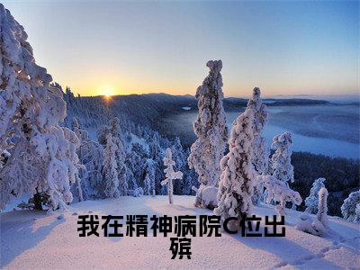 我在精神病院C位出殡(沈愿)全文免费阅读无弹窗大结局_(我在精神病院C位出殡免费阅读全文大结局)最新章节列表