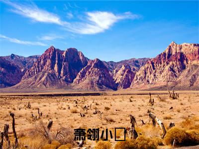 （热推新书）美文摘抄（萧翎小琤）主人公为（小琤萧翎）的小说萧翎小琤大结局全文免费阅读_笔趣阁
