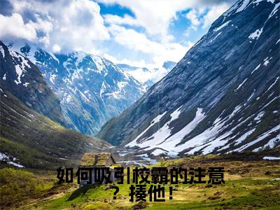 沈千依安洛璟(如何吸引校霸的注意?揍他!)高质量小说推荐阅读-最新小说如何吸引校霸的注意?揍他!全文阅读