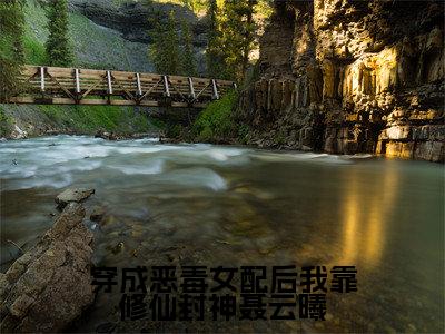 聂云曦全文免费阅读大结局-穿成恶毒女配后我靠修仙封神聂云曦结局免费阅读