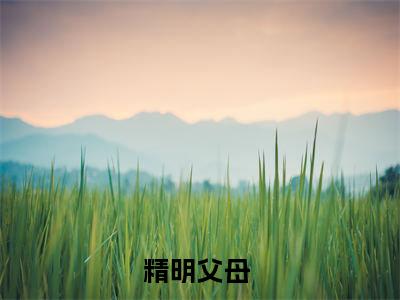 精明父母 小说(方宏浚方平安)精彩章节-方宏浚方平安全文免费在线阅读