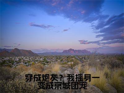 穿成炮灰?我摇身一变成京城团宠全文免费在线阅读_赵乐潼萧元奕全文免费阅读无弹窗大结局