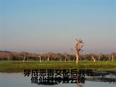 (穿成恶毒女配后我靠修仙封神聂云曦抖音小说)聂云曦小说全文阅读免费