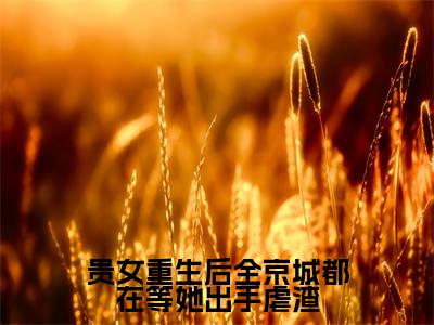 贵女重生后全京城都在等她出手虐渣(江善盛元帝)全文无弹窗阅读-贵女重生后全京城都在等她出手虐渣(江善盛元帝)最新章节完整版阅读