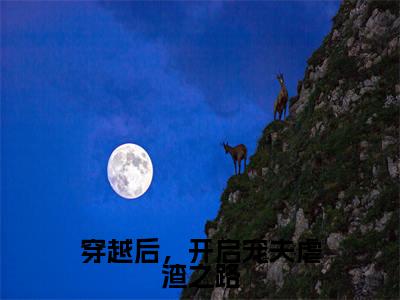 穿越后,开启宠夫虐渣之路(程也宋熠全文在线阅读)-穿越后,开启宠夫虐渣之路小说(程也宋熠)免费阅读最新章节列表无弹窗