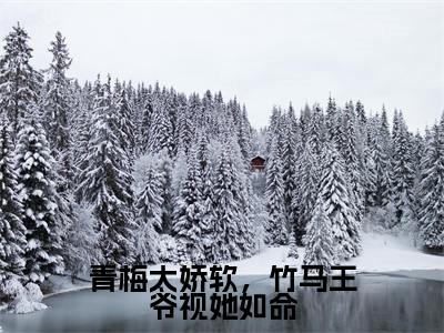 青梅太娇软,竹马王爷视她如命(沈凝容澈)小说全文免费阅读无弹窗大结局_沈凝容澈全文免费阅读