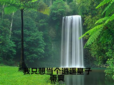 我只想当个逍遥皇子秦爽小说(秦爽)全文免费阅读_我只想当个逍遥皇子秦爽小说秦爽小说最新章节列表笔趣阁