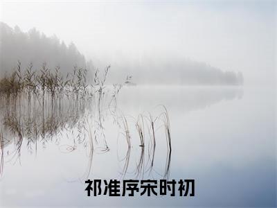 祁准序宋时初最新章节（宋时初祁准序）全文免费阅读无弹窗大结局_宋时初祁准序免费阅读