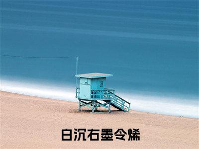 白沉右墨令烯(墨令烯白沉右)小说全文免费阅读无弹窗大结局_(白沉右墨令烯全文免费阅读)墨令烯白沉右最新章节列表