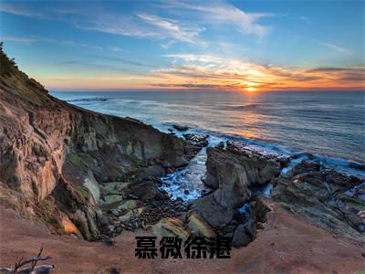 慕微徐湛新书热荐免费小说慕微徐湛-小说慕微徐湛大结局
