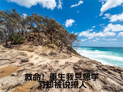 祁连夏梦小说全文免费阅读大结局-救命!重生我只想学习却被说撩人最新章节列表免费阅读