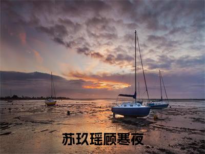 (苏玖瑶顾寒夜)全文免费阅读-苏玖瑶顾寒夜(顾寒夜苏玖瑶)最新章节列表阅读