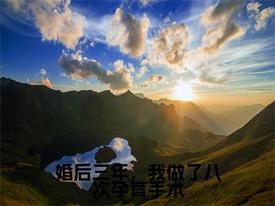 婚后三年,我做了八次孕育手术(主角是庄盈盈宋遇白全文免费阅读无弹窗)_婚后三年,我做了八次孕育手术全文免费阅读无弹窗大结局