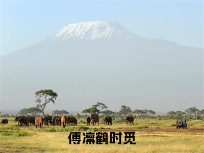 主人公叫(时觅傅凛鹤)的小说(傅凛鹤时觅)全文免费阅读最新章节列表_笔趣阁