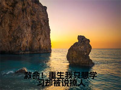 救命!重生我只想学习却被说撩人最新章节(祁连夏梦)全文免费阅读无弹窗大结局_祁连夏梦免费阅读