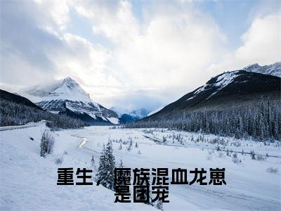 后续+免费重生，魔族混血龙崽是团宠（墨善安墨噬天）全文小说在线阅读-重生，魔族混血龙崽是团宠全章节最新阅读