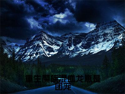 重生魔族混血龙崽是团宠小说大结局完整版阅读,墨善安墨噬天小说全文在线阅读