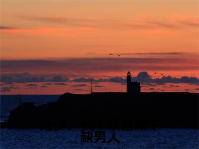 陆星岸程夕禾(陆星岸程夕禾)全文免费阅读无弹窗_陆少,我不缺画更不缺男人小说在线阅读_笔趣阁