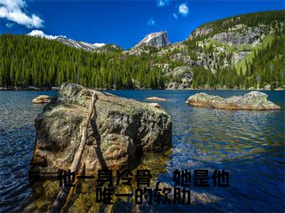 苏墨言周笙独家小说他一身冷骨，她是他唯一的软肋-苏墨言周笙无删版小说推荐