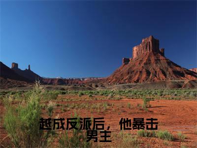 越成反派后，他暴击男主全文免费阅读（叶昊古乾免费阅读无弹窗）越成反派后，他暴击男主最新章节列表