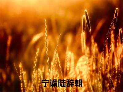 宁谕陆辞朝独家小说宁谕陆辞朝-宁谕陆辞朝无删版小说推荐