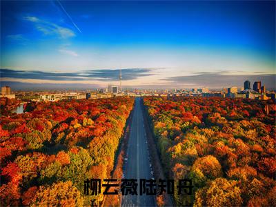 柳云薇陆知舟小说(陆知舟柳云薇)全文免费阅读无弹窗大结局_柳云薇陆知舟全文免费完结版阅读(陆知舟柳云薇)