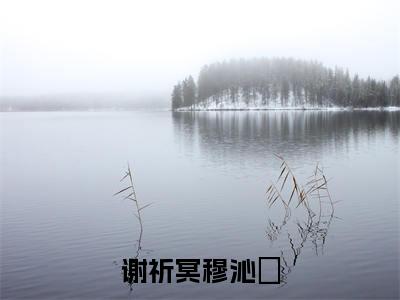 穆沁嬅谢祈冥(谢祈冥穆沁嬅)小说全文无删减-穆沁嬅谢祈冥小说免费阅读大结局