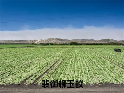 裴御柳玉皎全文免费阅读无弹窗大结局-柳玉皎裴御在线阅读最新章节列表_笔趣阁