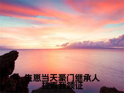 生崽当天豪门继承人拉着我领证(容舒墨承渊)免费最新小说_容舒墨承渊(生崽当天豪门继承人拉着我领证)免费版今日已更新