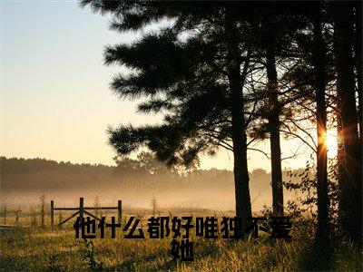 他什么都好唯独不爱她(宁微霍逢安)全文免费阅读无弹窗大结局_他什么都好唯独不爱她小说全文免费阅读最新章节列表(宁微霍逢安)