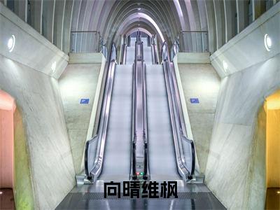 向晴维枫(向晴维枫)全文免费阅读无弹窗大结局_向晴维枫:向晴维枫最新章节列表_笔趣阁