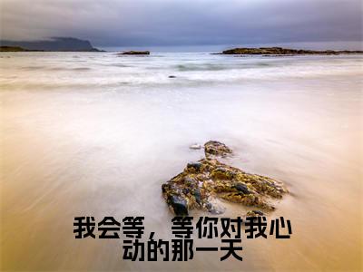 南佑疏(我会等,等你对我心动的那一天)在线阅读小说全文无删减-我会等,等你对我心动的那一天小说大结局