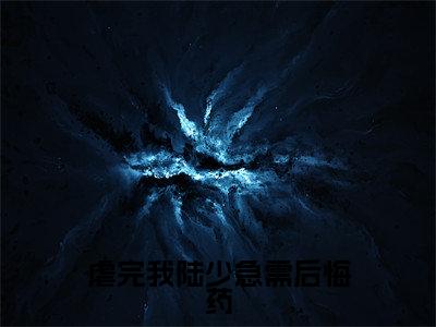 虐完我陆少急需后悔药(陆聂琛苏槿叶)全网首发最火小说-主角陆聂琛苏槿叶的小说完整版免费阅读