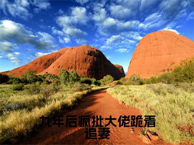 (热推新书)九年后疯批大佬跪着追妻全文免费阅读无弹窗大结局-热推傅北萱厉霆骁无弹窗阅读九年后疯批大佬跪着追妻在线阅读