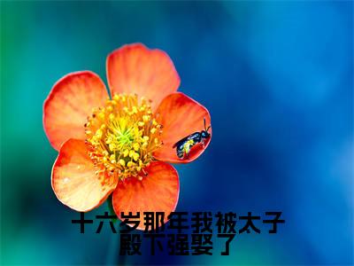 傅长洵宋南央（十六岁那年我被太子殿下强娶了）高质量小说免费阅读-主角是傅长洵宋南央的小说叫什么名字（十六岁那年我被太子殿下强娶了）