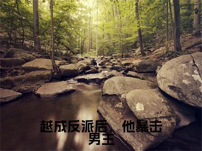 叶昊古乾（越成反派后，他暴击男主）全文在线阅读无弹窗大结局_越成反派后，他暴击男主全文无弹窗最新章节列表