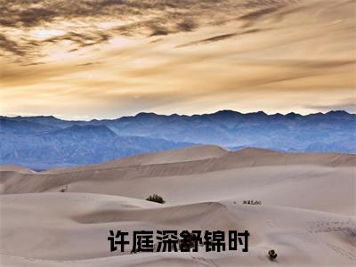 许庭深舒锦时舒锦时许庭深小说全文在线阅读无弹窗大结局_(舒锦时许庭深全文在线阅读无弹窗)