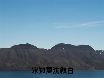 宋知夏沈叙白（沈叙白宋知夏）全文免费阅读无弹窗大结局_沈叙白宋知夏小说最新章节列表_笔趣阁