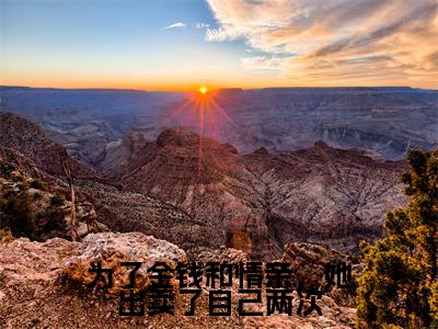 冷奕寒叶知秋(为了金钱和情亲,她出卖了自己两次全文小说)全文免费阅读无弹窗大结局_为了金钱和情亲,她出卖了自己两次全文免费阅读最新章节列表