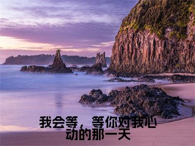 南佑疏长篇免费小说,我会等,等你对我心动的那一天最新章节在线阅读