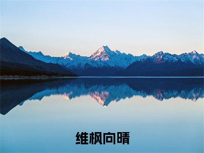【新书】《向晴维枫》维枫向晴全文全章节免费阅读